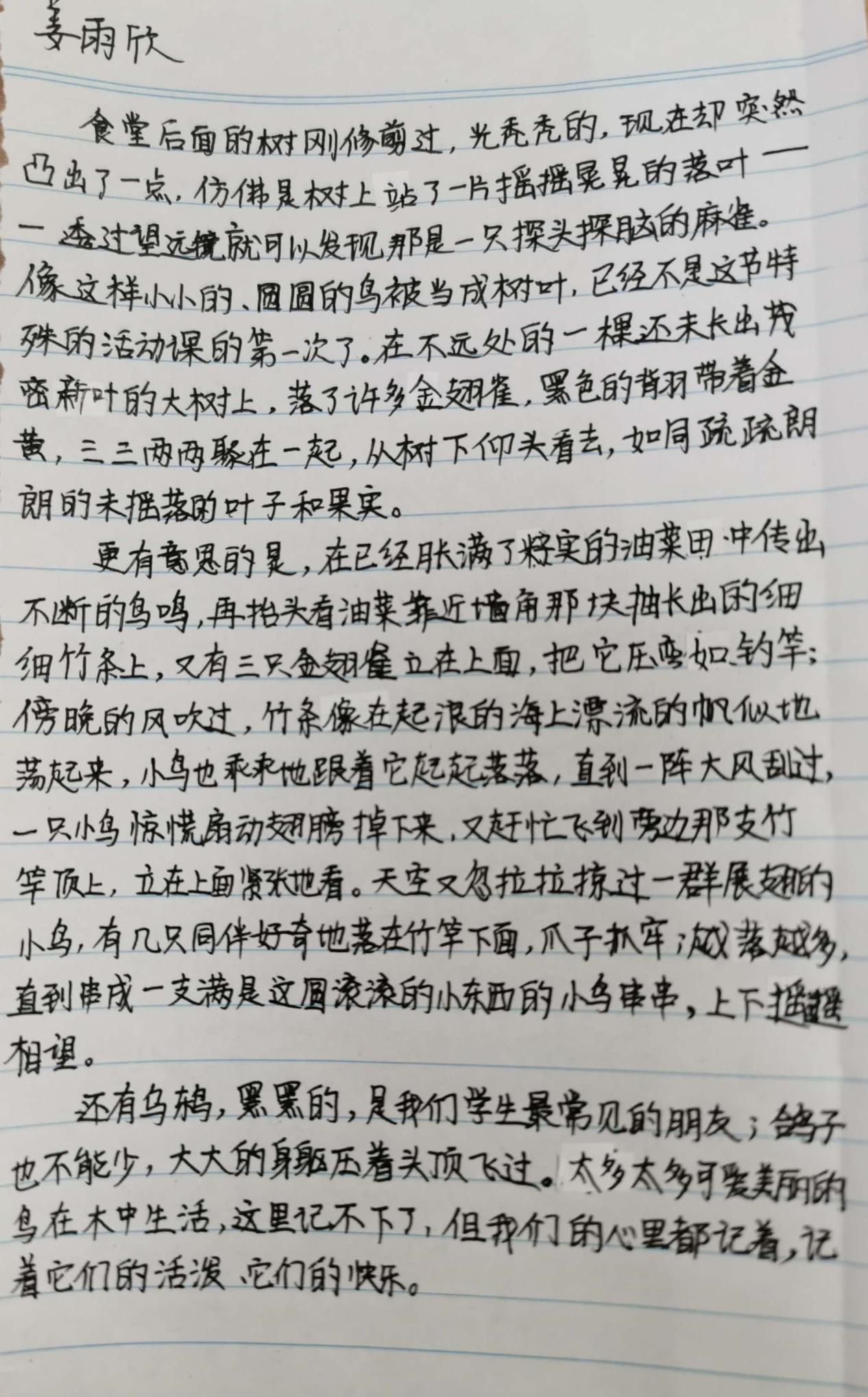 98c84f745c914df5bc44a3ab0a11f9e0.Jpeg