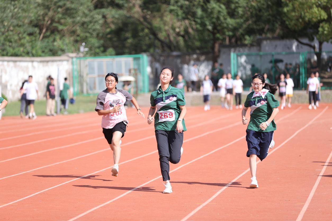 ed3a02d199e94aa8a827b99bea3b1612.jpg